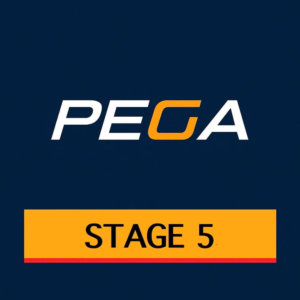 Stage 5 PEGA BFXX Ceramic Racing Applications ONLY